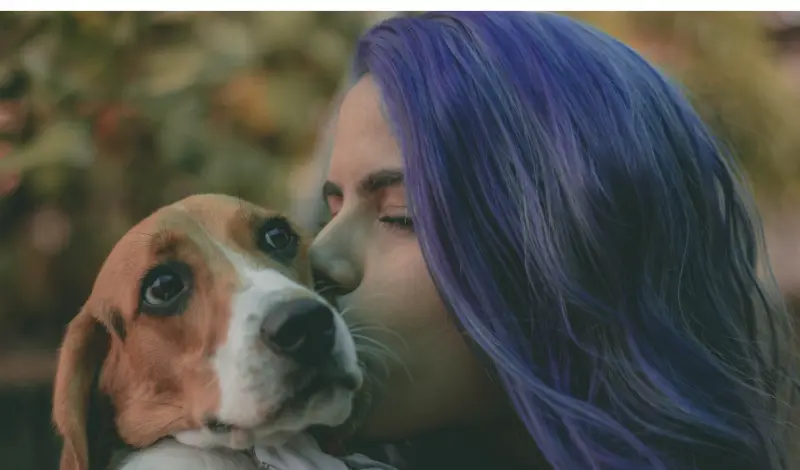 Signs-that-beagle-loves-you