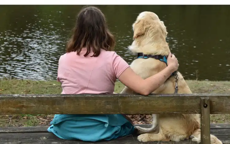 Will-A-Golden-Retriever-Protect-You