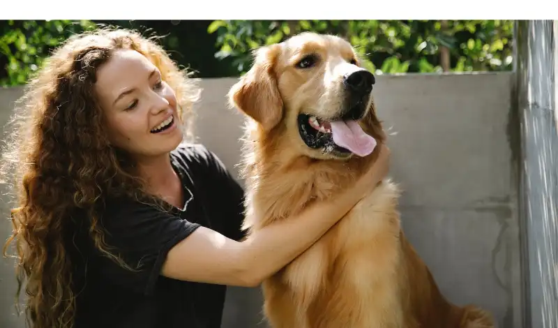 bathing-golden-retriever-steps-tips