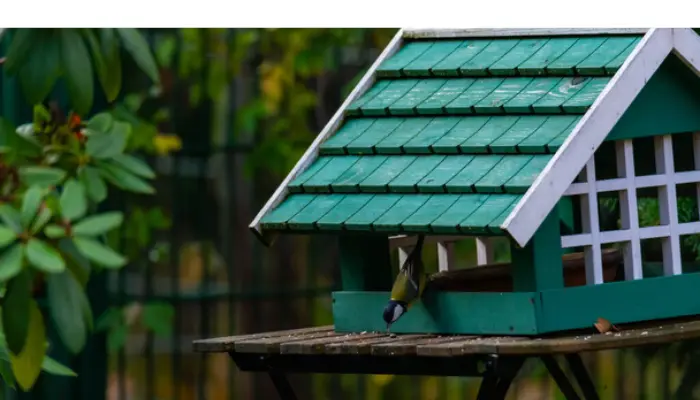 where-place-finch-birdhouse